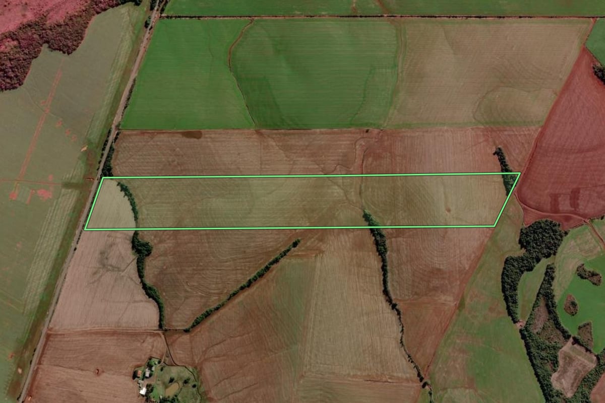 Imagem de satélite do imóvel rural em São Luiz Gonzaga (RS), com o contorno declarado no CAR desenhado por cima.
