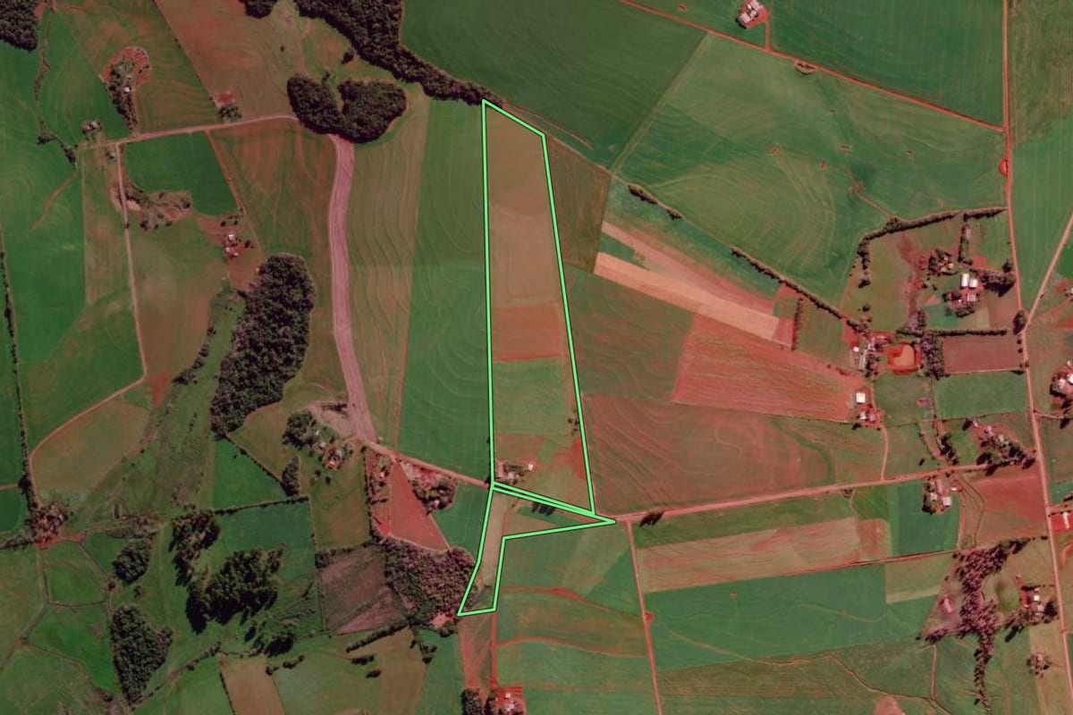 Imagem de satélite do imóvel rural em São Luiz Gonzaga (RS), com o contorno declarado no CAR desenhado por cima.