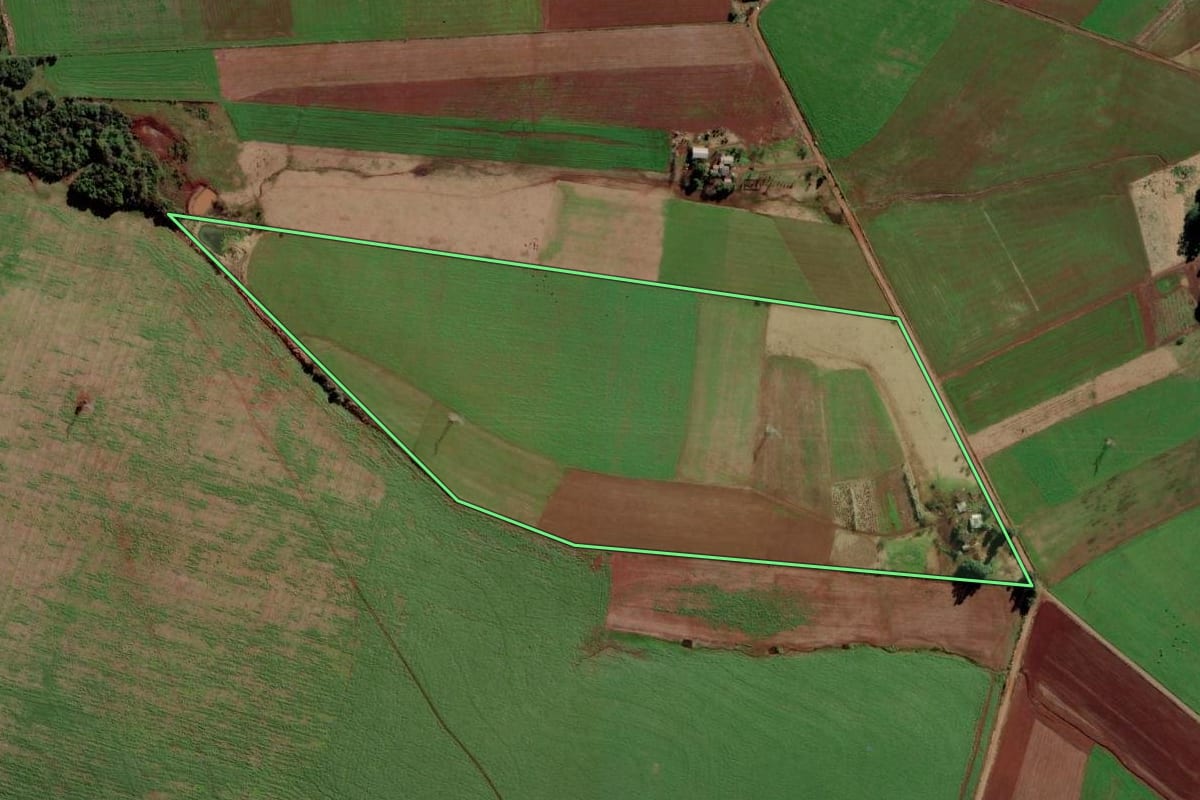 Imagem de satélite do imóvel rural em São Luiz Gonzaga (RS), com o contorno declarado no CAR desenhado por cima.