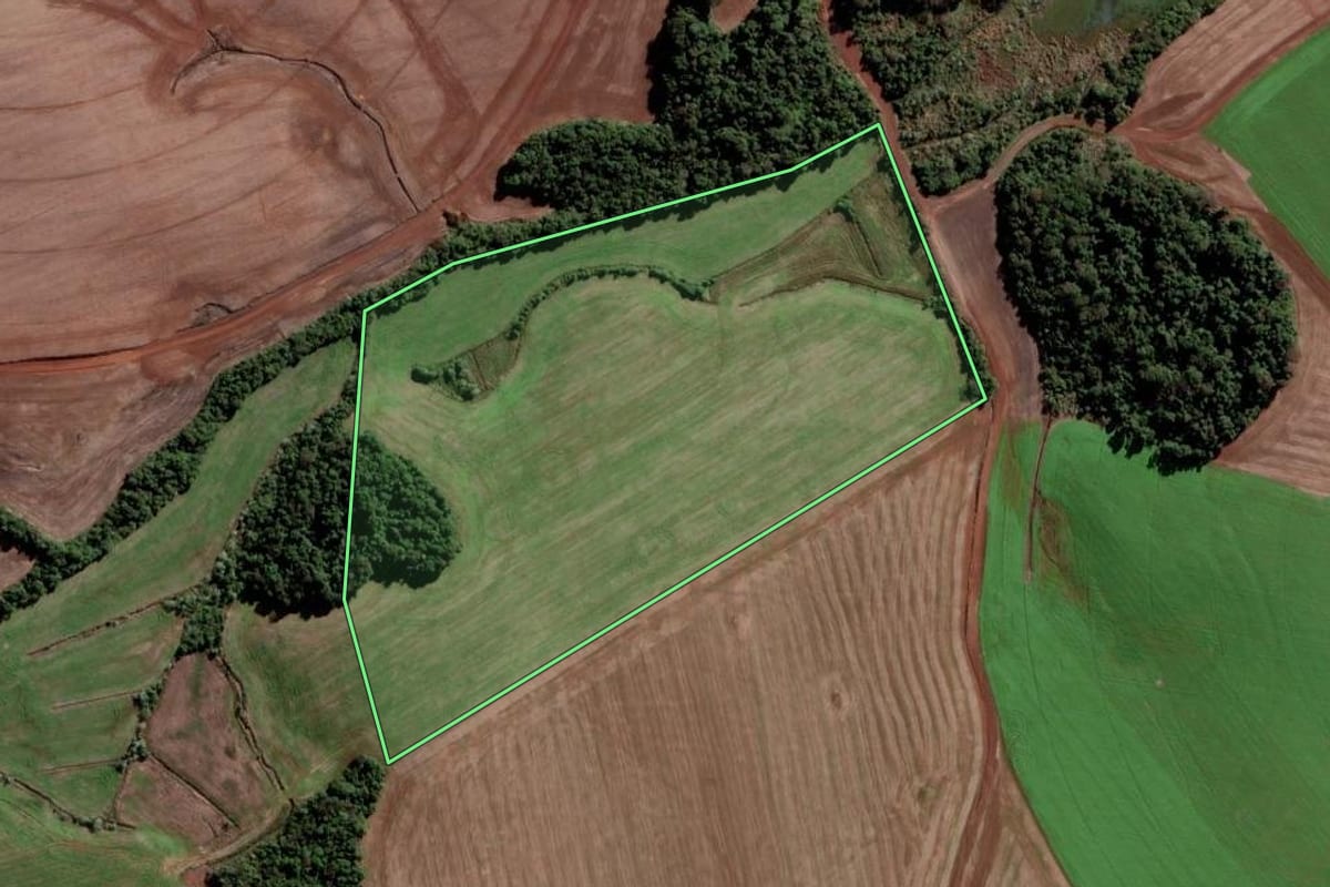 Imagem de satélite do imóvel rural em São Luiz Gonzaga (RS), com o contorno declarado no CAR desenhado por cima.