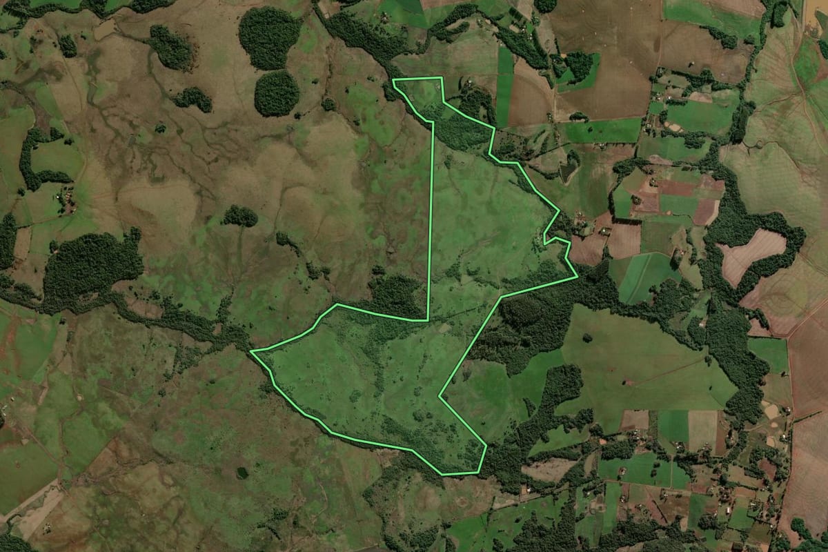 Imagem de satélite do imóvel rural em São Luiz Gonzaga (RS), com o contorno declarado no CAR desenhado por cima.