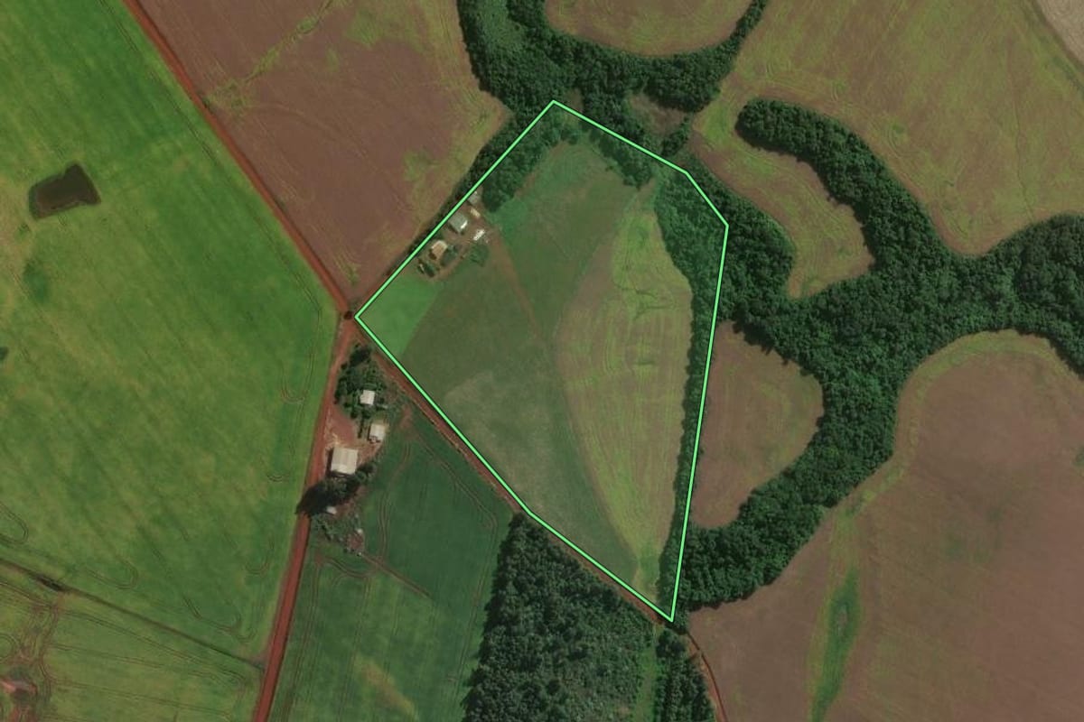 Imagem de satélite do imóvel rural em São Luiz Gonzaga (RS), com o contorno declarado no CAR desenhado por cima.