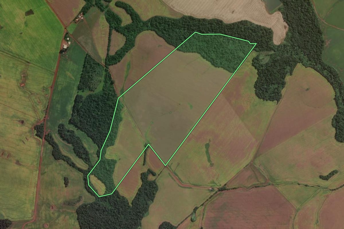 Imagem de satélite do imóvel rural em São Luiz Gonzaga (RS), com o contorno declarado no CAR desenhado por cima.