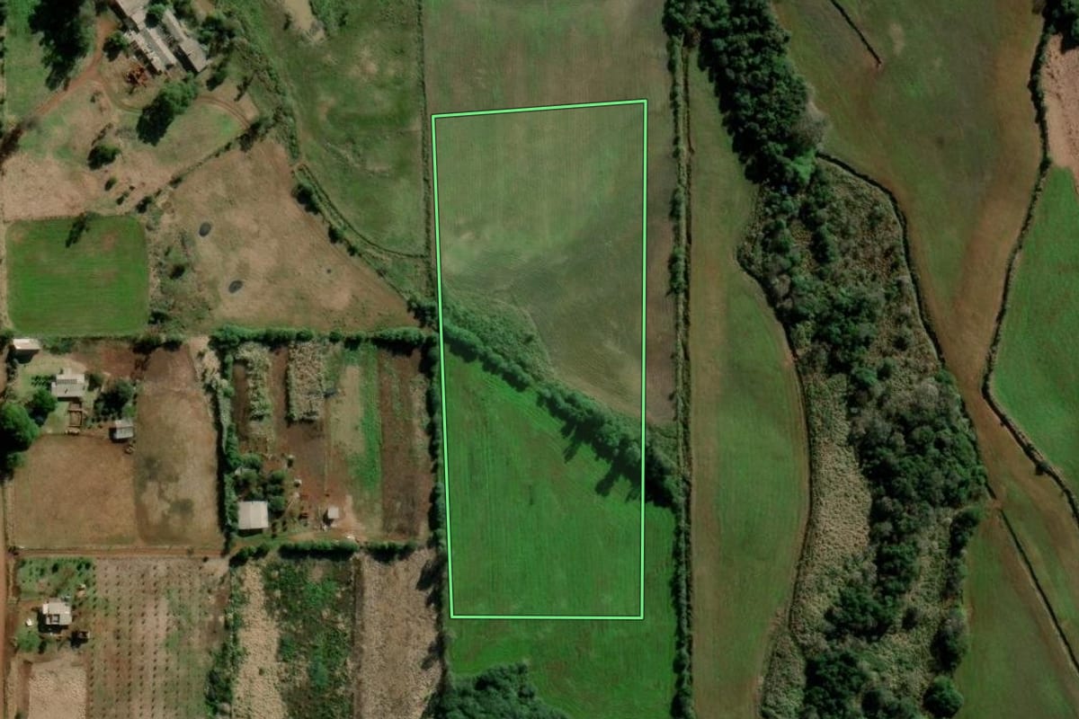 Imagem de satélite do imóvel rural em São Luiz Gonzaga (RS), com o contorno declarado no CAR desenhado por cima.