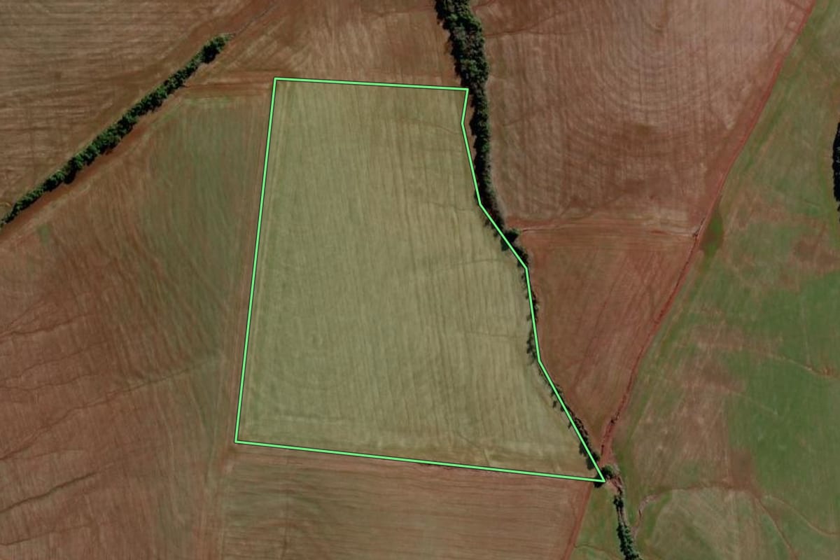 Imagem de satélite do imóvel rural em São Luiz Gonzaga (RS), com o contorno declarado no CAR desenhado por cima.