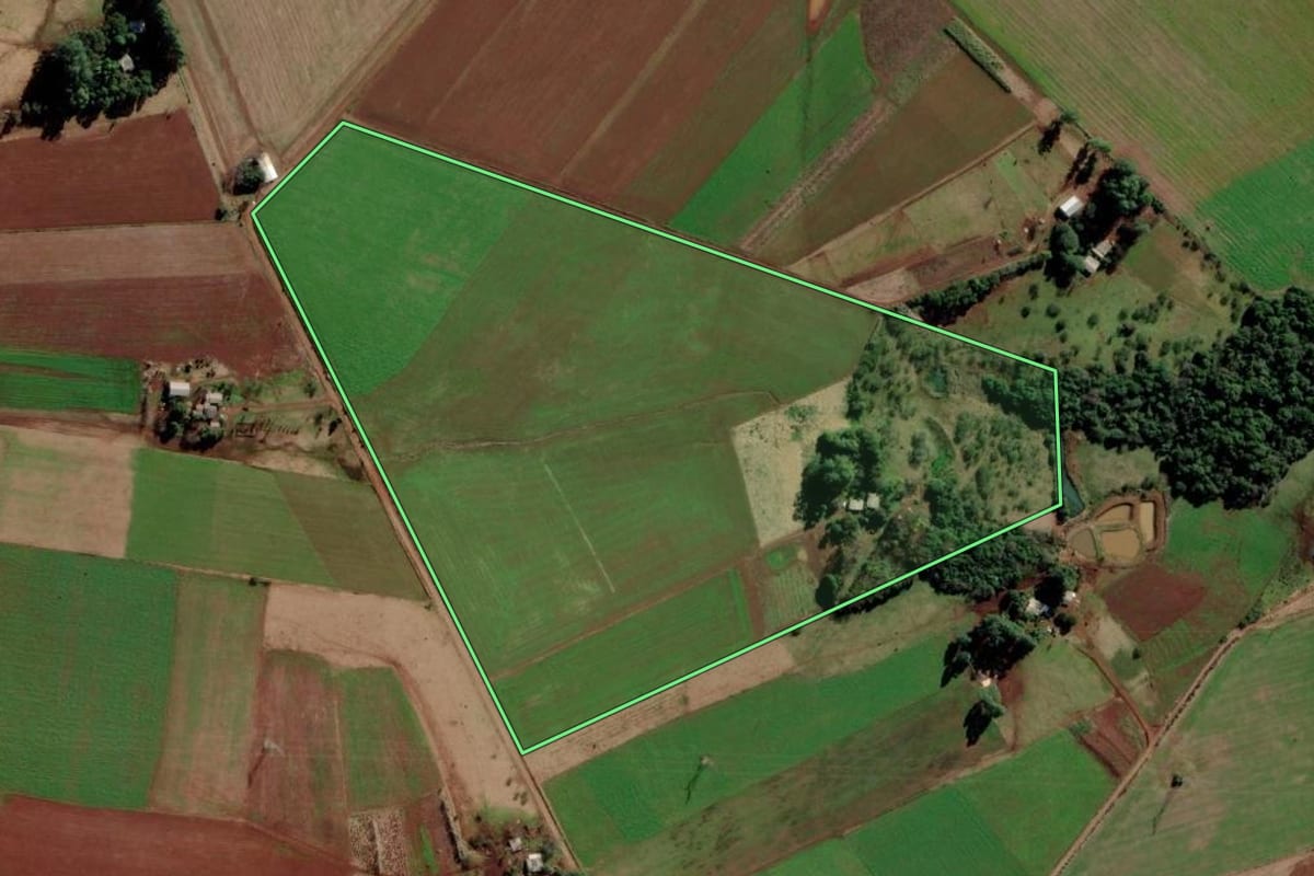 Imagem de satélite do imóvel rural em São Luiz Gonzaga (RS), com o contorno declarado no CAR desenhado por cima.