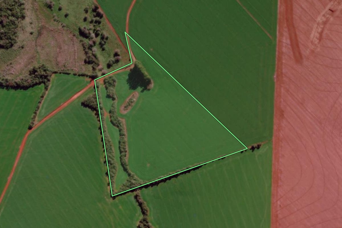 Imagem de satélite do imóvel rural em São Luiz Gonzaga (RS), com o contorno declarado no CAR desenhado por cima.