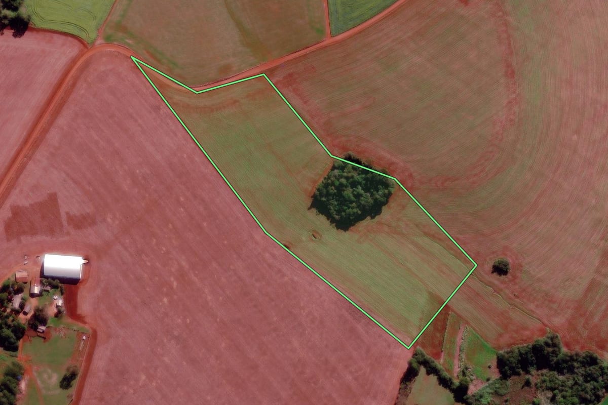 Imagem de satélite do imóvel rural em São Luiz Gonzaga (RS), com o contorno declarado no CAR desenhado por cima.