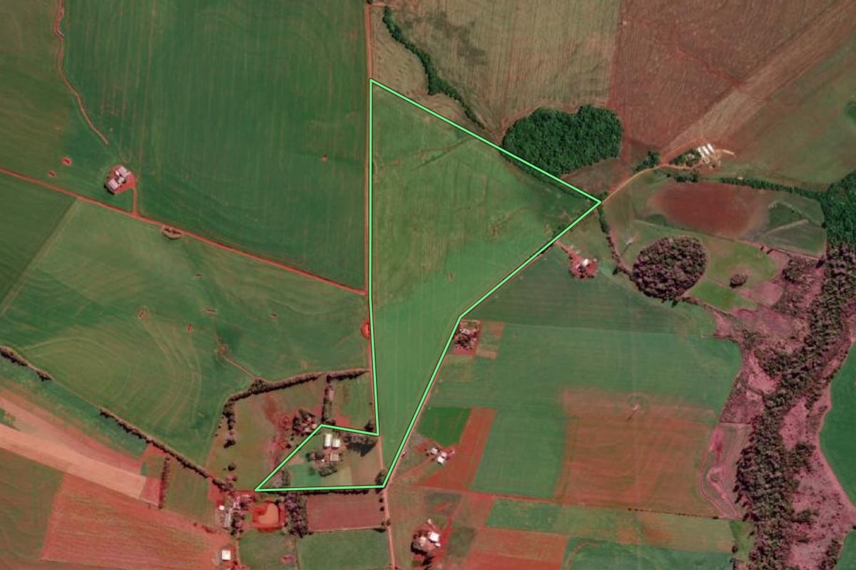 Imagem de satélite do imóvel rural em São Luiz Gonzaga (RS), com o contorno declarado no CAR desenhado por cima.