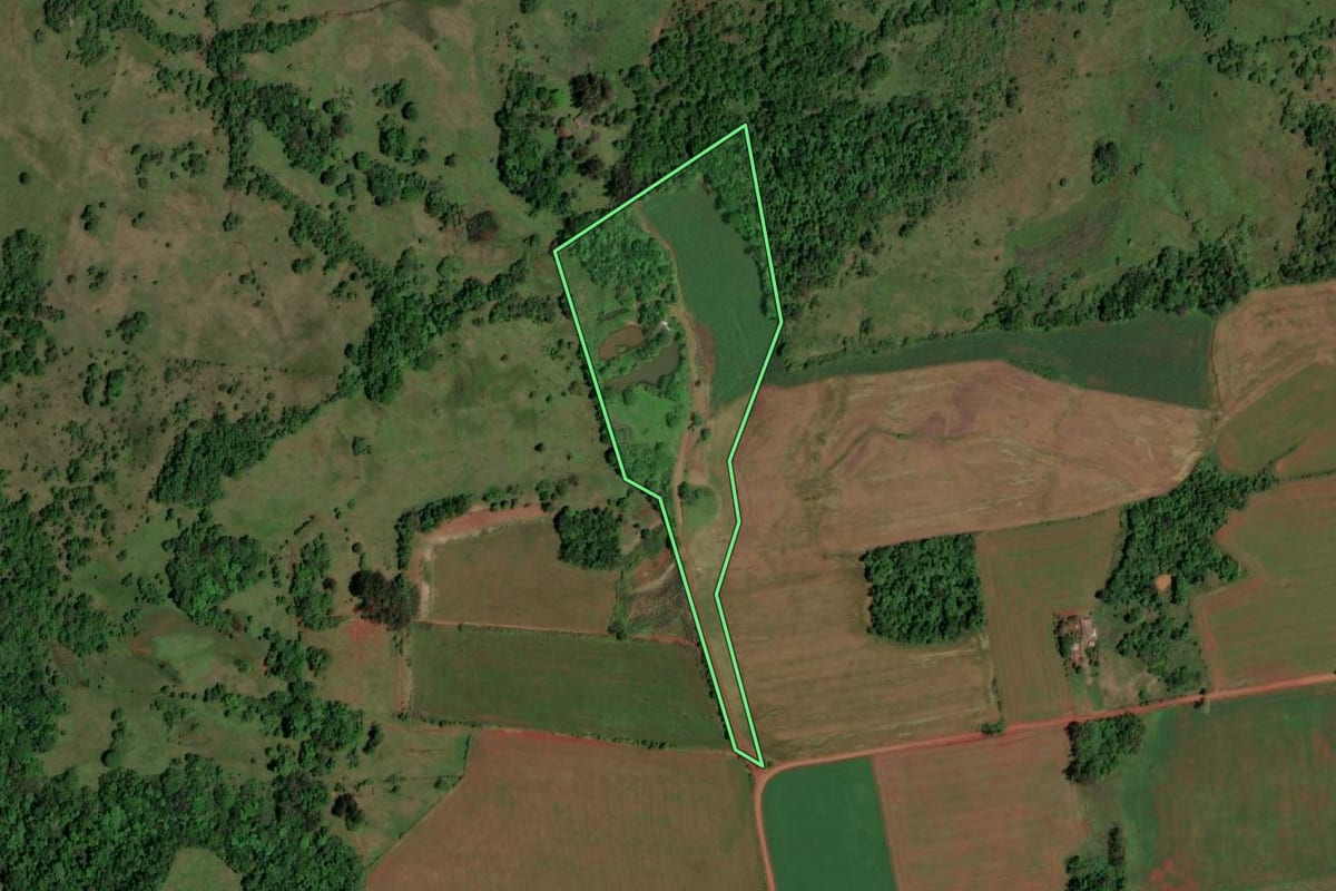 Imagem de satélite do imóvel rural em São Luiz Gonzaga (RS), com o contorno declarado no CAR desenhado por cima.