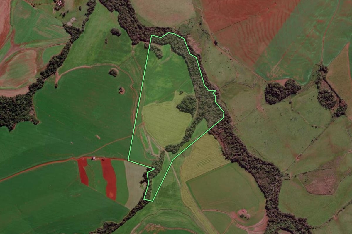 Imagem de satélite do imóvel rural em São Luiz Gonzaga (RS), com o contorno declarado no CAR desenhado por cima.