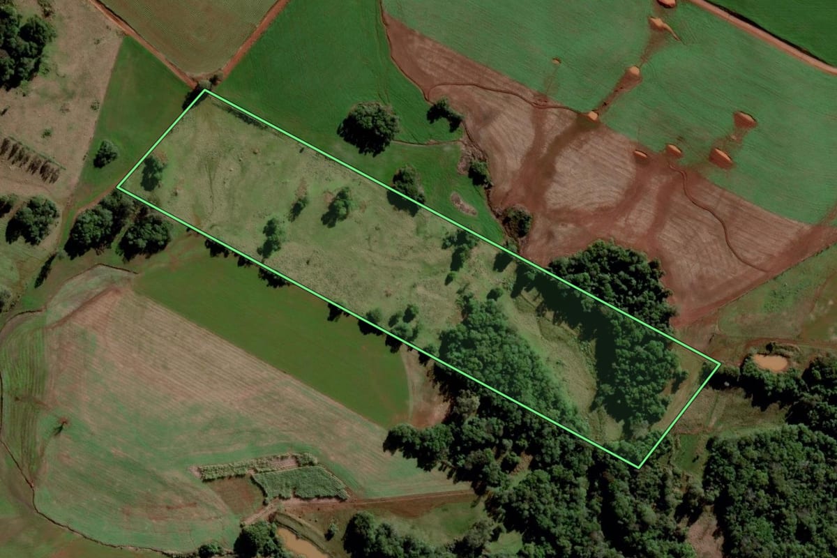 Imagem de satélite do imóvel rural em São Luiz Gonzaga (RS), com o contorno declarado no CAR desenhado por cima.