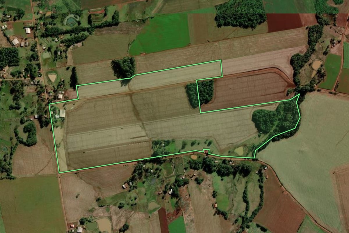Imagem de satélite do imóvel rural em São Luiz Gonzaga (RS), com o contorno declarado no CAR desenhado por cima.