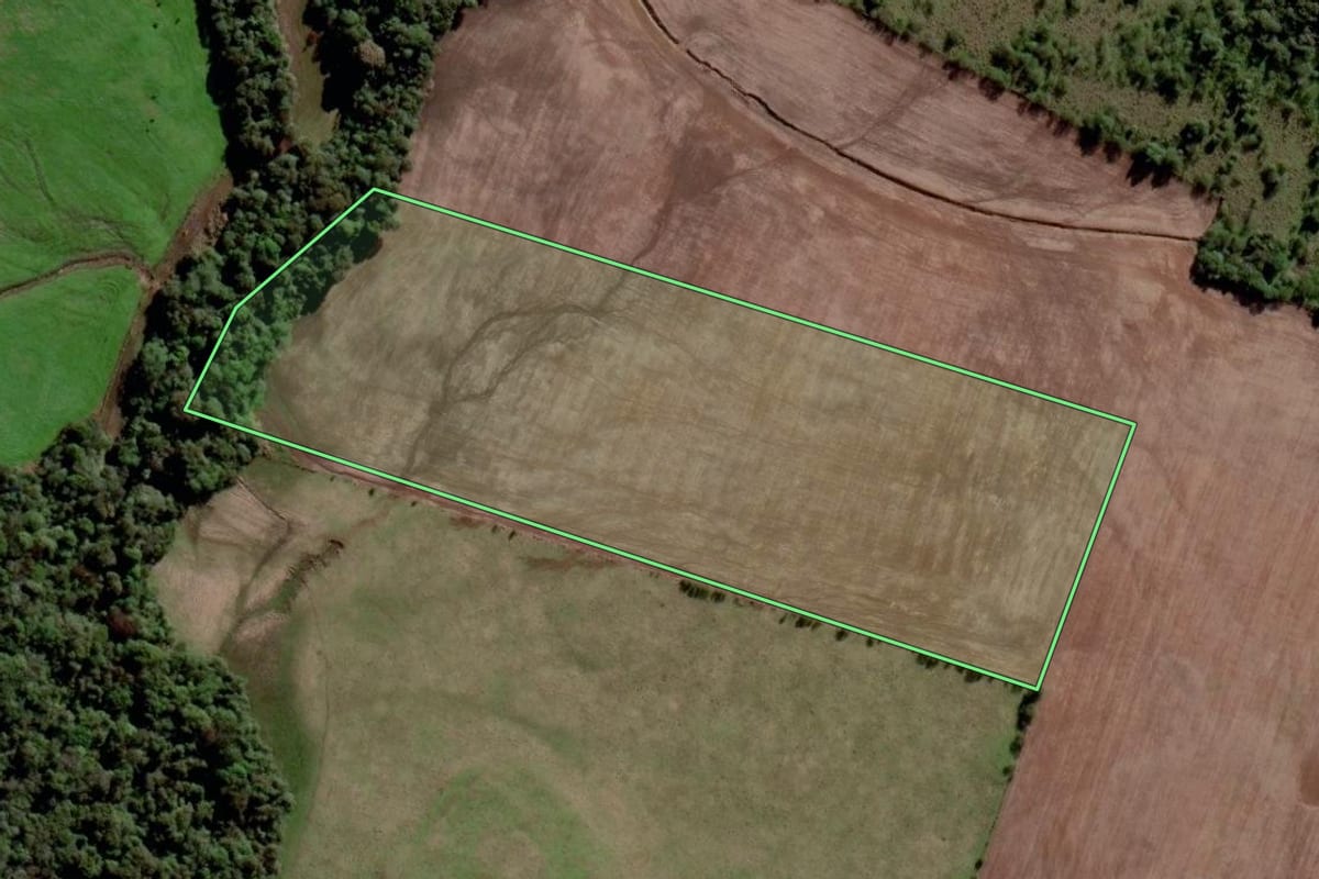 Imagem de satélite do imóvel rural em São Luiz Gonzaga (RS), com o contorno declarado no CAR desenhado por cima.