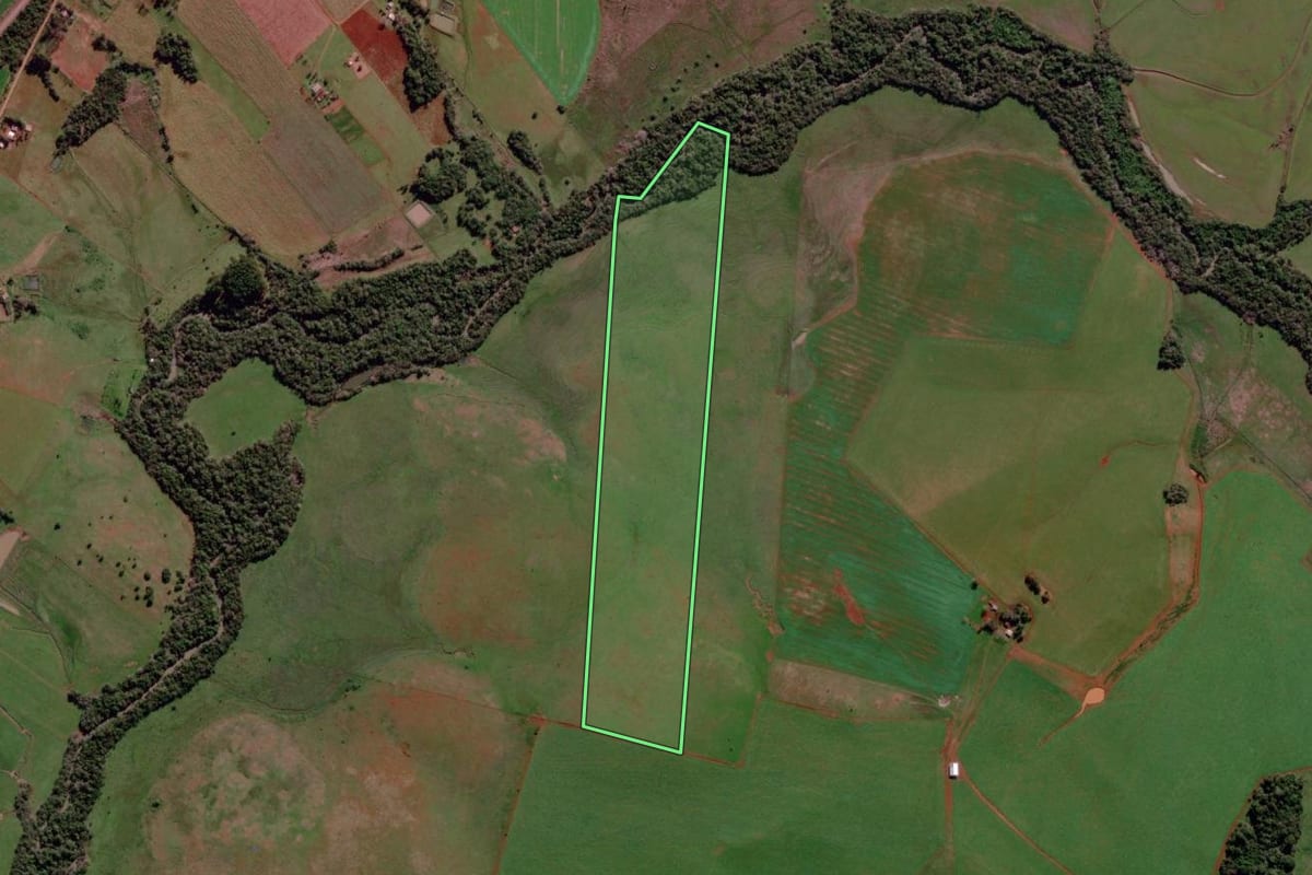 Imagem de satélite do imóvel rural em São Luiz Gonzaga (RS), com o contorno declarado no CAR desenhado por cima.