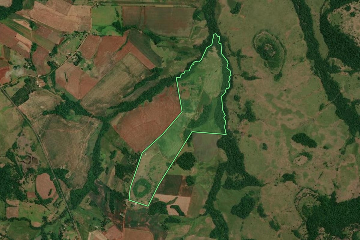 Imagem de satélite do imóvel rural em São Luiz Gonzaga (RS), com o contorno declarado no CAR desenhado por cima.