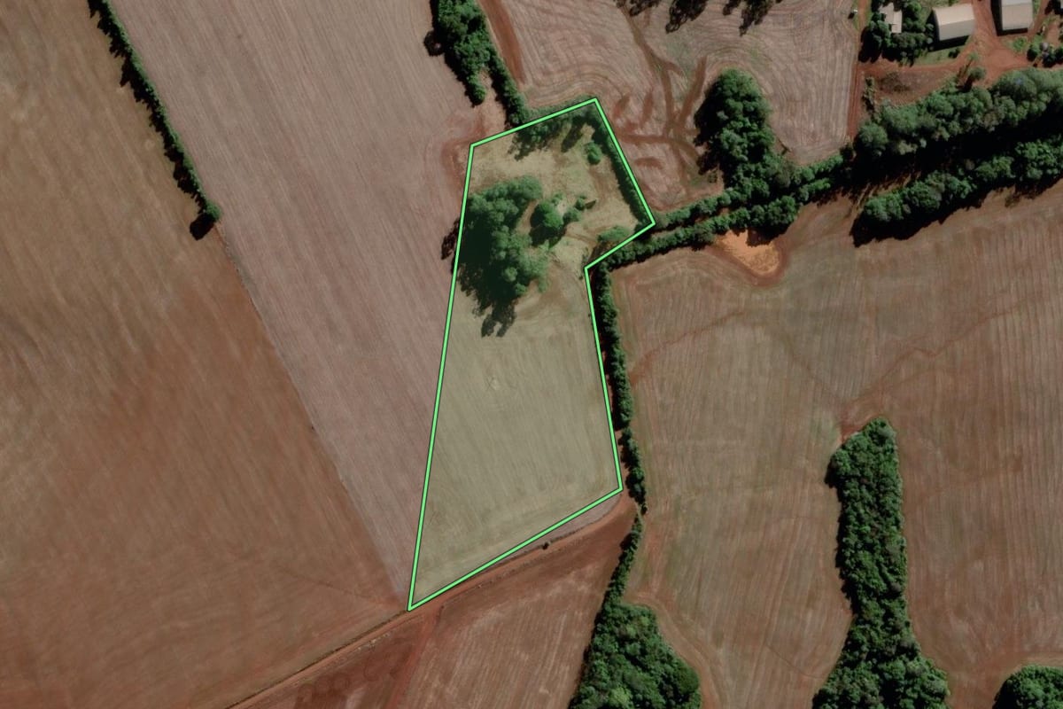 Imagem de satélite do imóvel rural em São Luiz Gonzaga (RS), com o contorno declarado no CAR desenhado por cima.