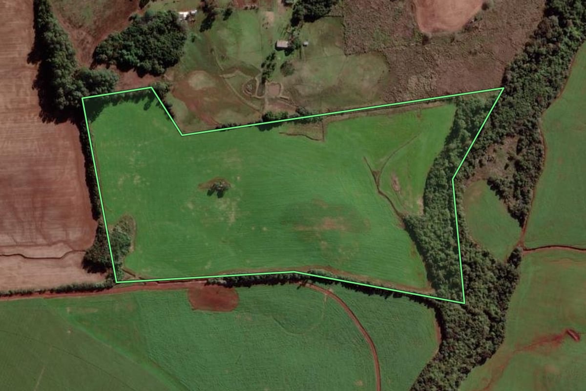 Imagem de satélite do imóvel rural em São Luiz Gonzaga (RS), com o contorno declarado no CAR desenhado por cima.