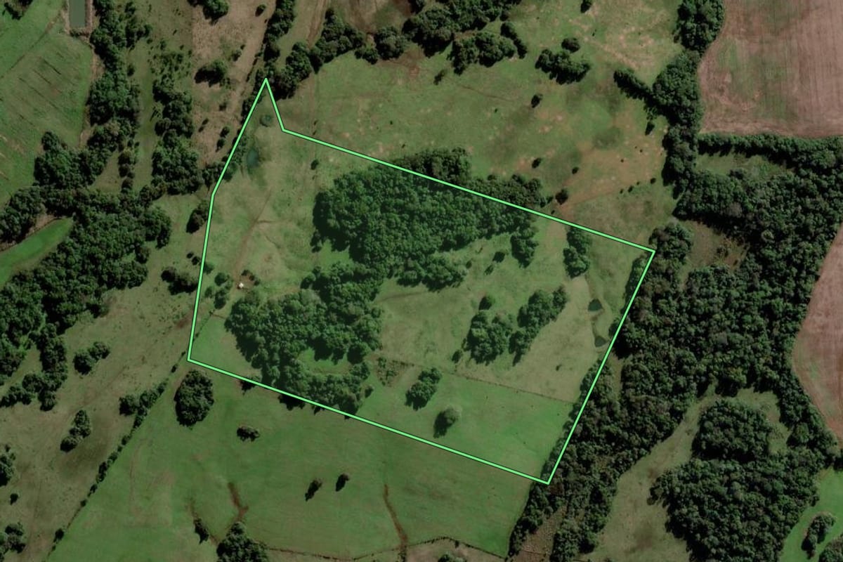Imagem de satélite do imóvel rural em São Luiz Gonzaga (RS), com o contorno declarado no CAR desenhado por cima.