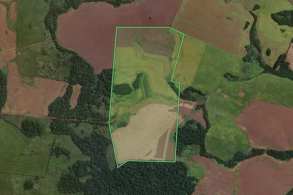 Imagem de satélite do imóvel rural em São Luiz Gonzaga (RS), com o contorno declarado no CAR desenhado por cima.