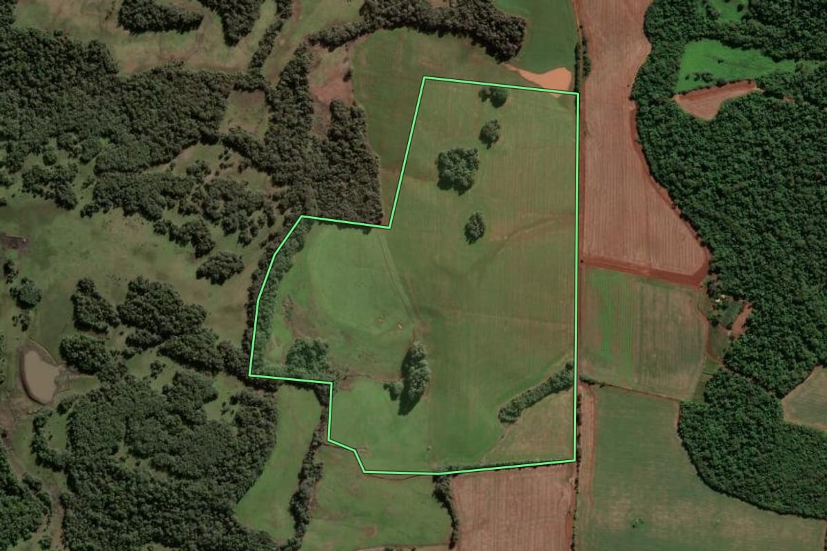 Imagem de satélite do imóvel rural em São Luiz Gonzaga (RS), com o contorno declarado no CAR desenhado por cima.