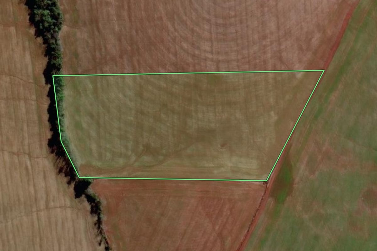 Imagem de satélite do imóvel rural em São Luiz Gonzaga (RS), com o contorno declarado no CAR desenhado por cima.