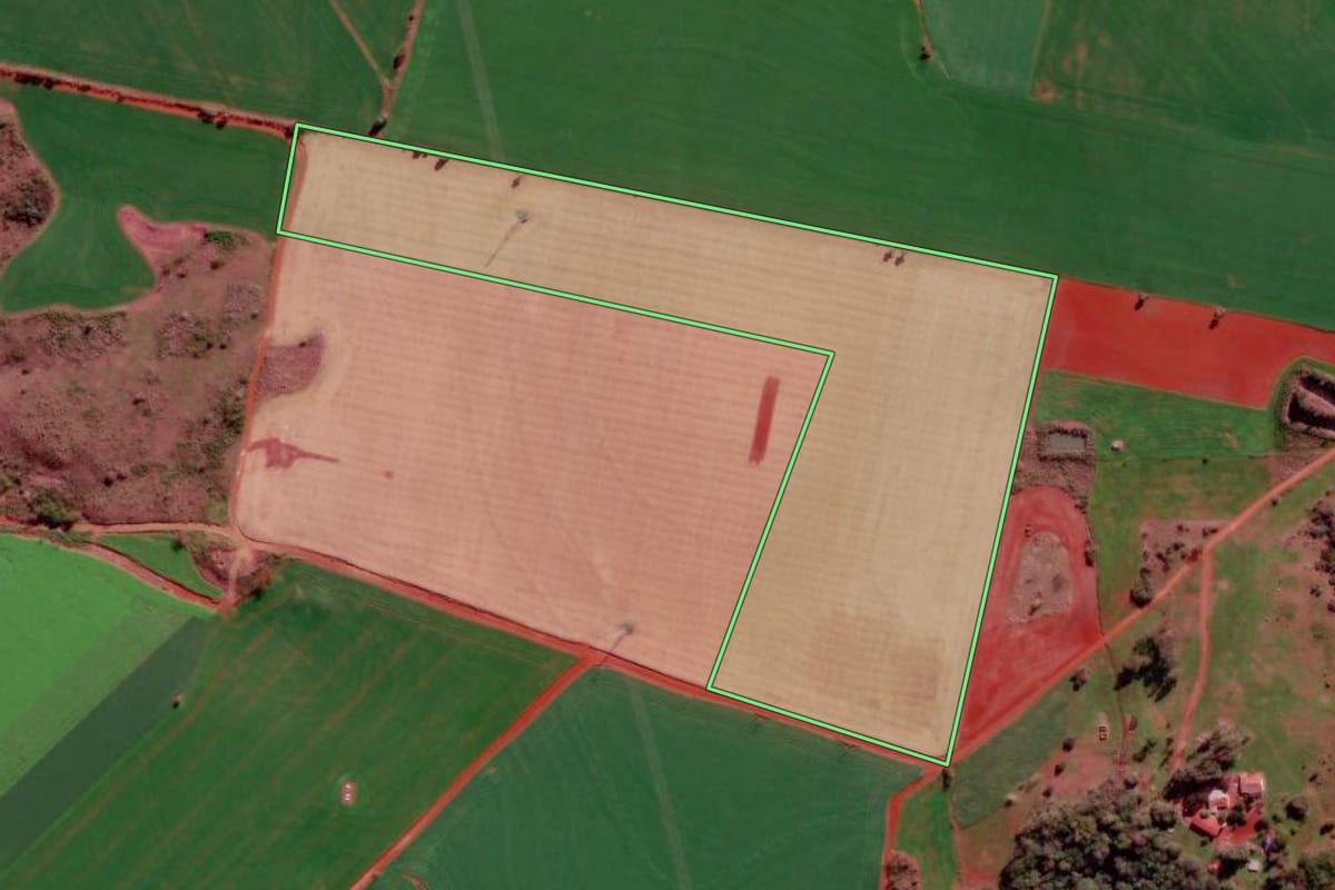 Imagem de satélite do imóvel rural em São Luiz Gonzaga (RS), com o contorno declarado no CAR desenhado por cima.