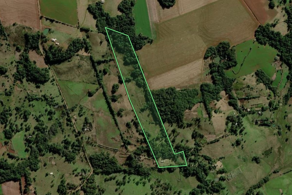 Imagem de satélite do imóvel rural em São Luiz Gonzaga (RS), com o contorno declarado no CAR desenhado por cima.