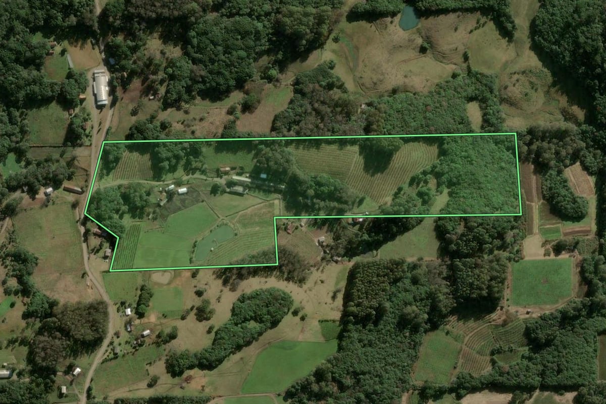 Imagem de satélite do imóvel rural em São Marcos (RS), com o contorno declarado no CAR desenhado por cima.