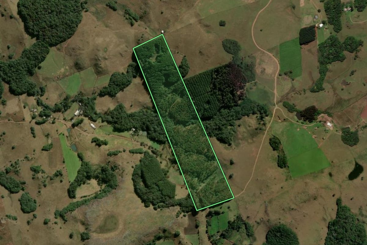 Imagem de satélite do imóvel rural em São Marcos (RS), com o contorno declarado no CAR desenhado por cima.