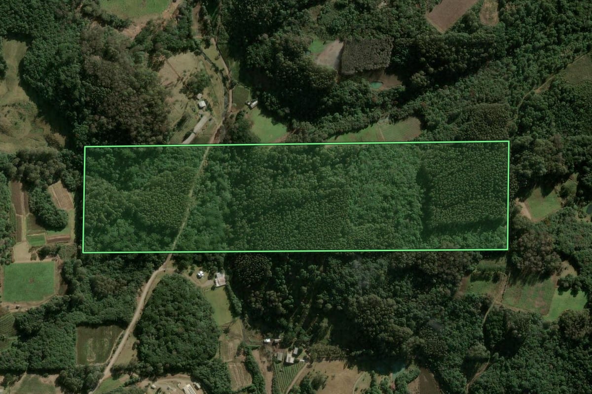 Imagem de satélite do imóvel rural em São Marcos (RS), com o contorno declarado no CAR desenhado por cima.