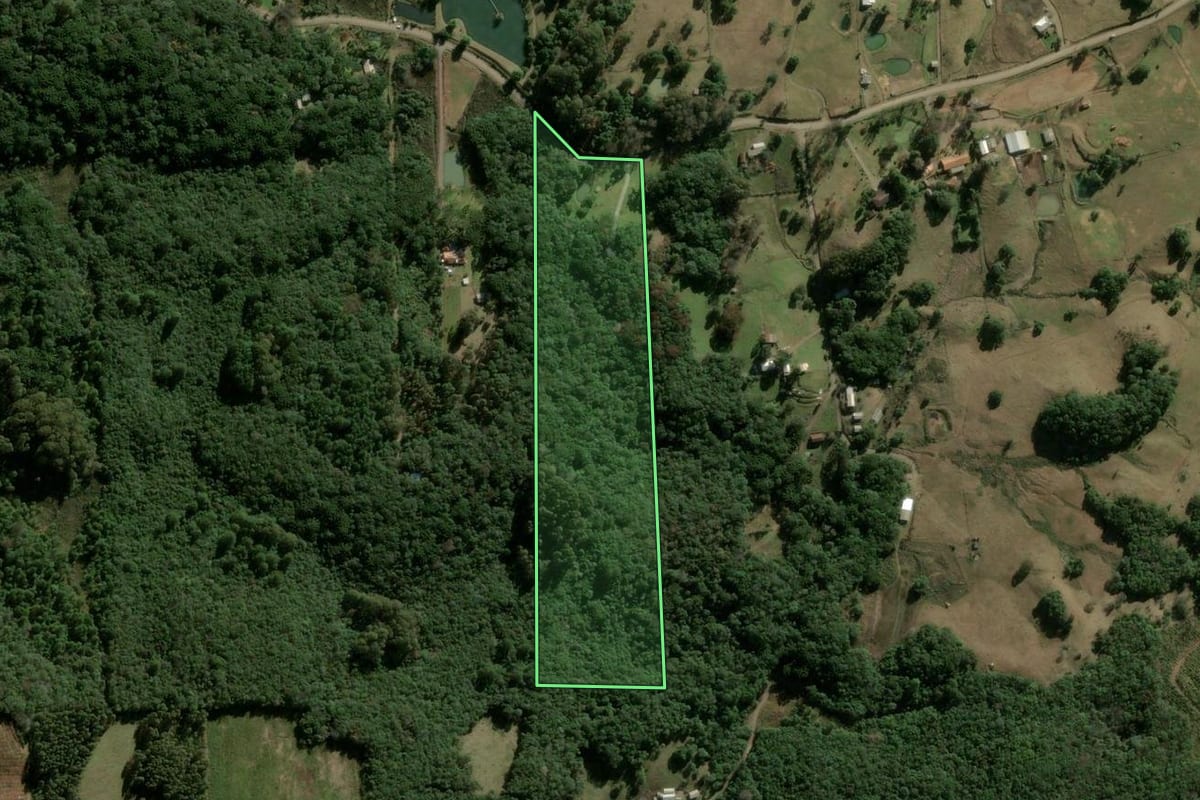 Imagem de satélite do imóvel rural em São Marcos (RS), com o contorno declarado no CAR desenhado por cima.