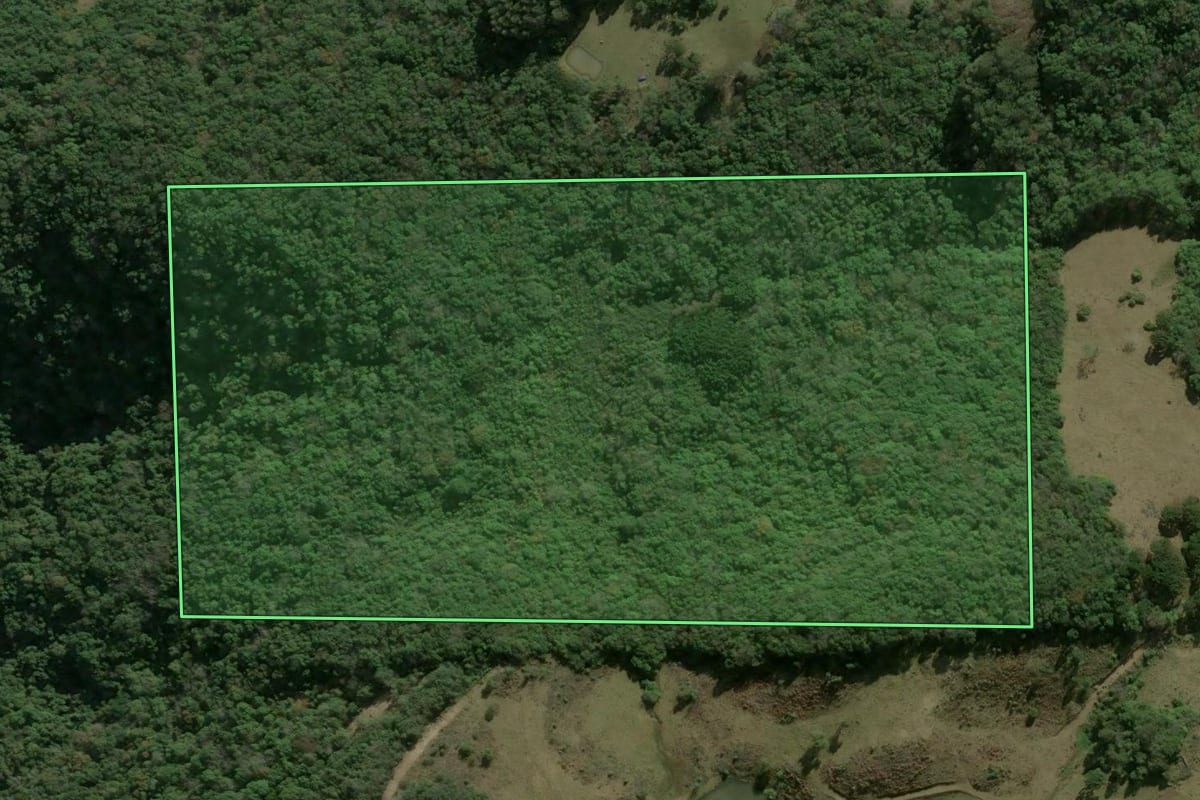 Imagem de satélite do imóvel rural em São Marcos (RS), com o contorno declarado no CAR desenhado por cima.