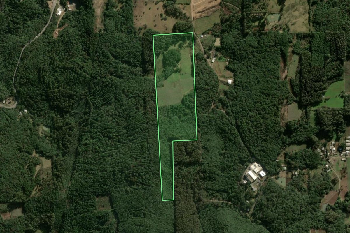 Imagem de satélite do imóvel rural em São Marcos (RS), com o contorno declarado no CAR desenhado por cima.