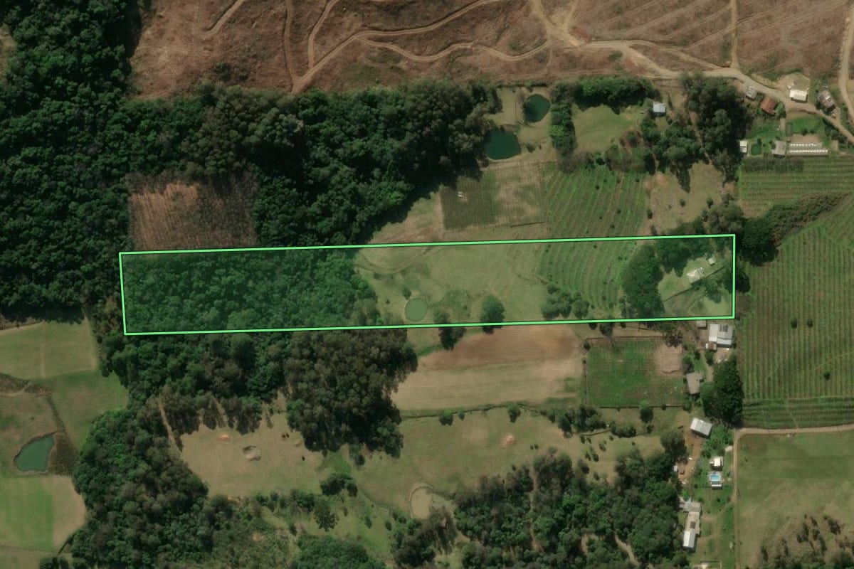 Imagem de satélite do imóvel rural em São Marcos (RS), com o contorno declarado no CAR desenhado por cima.