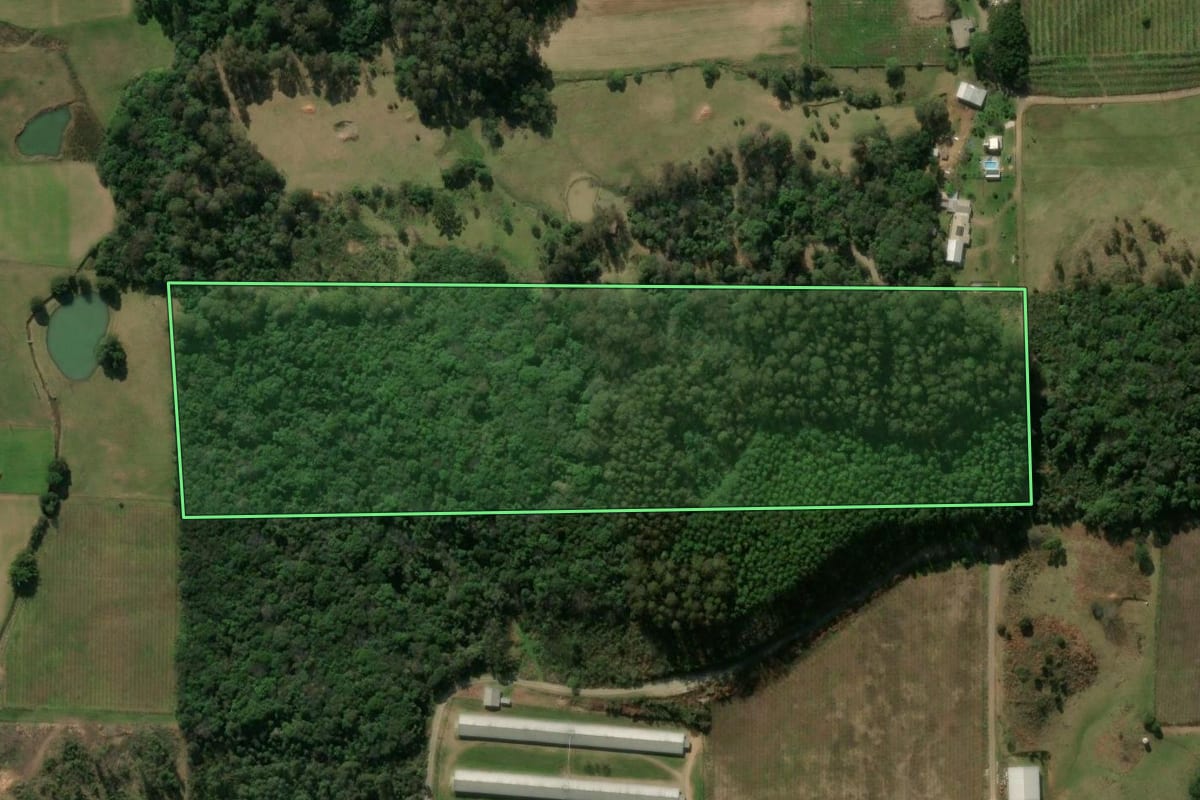 Imagem de satélite do imóvel rural em São Marcos (RS), com o contorno declarado no CAR desenhado por cima.
