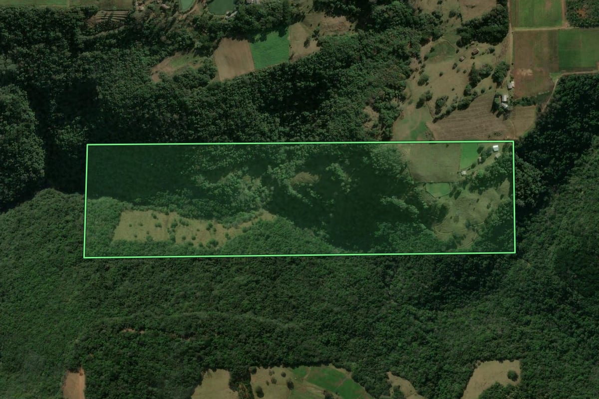 Imagem de satélite do imóvel rural em São Marcos (RS), com o contorno declarado no CAR desenhado por cima.