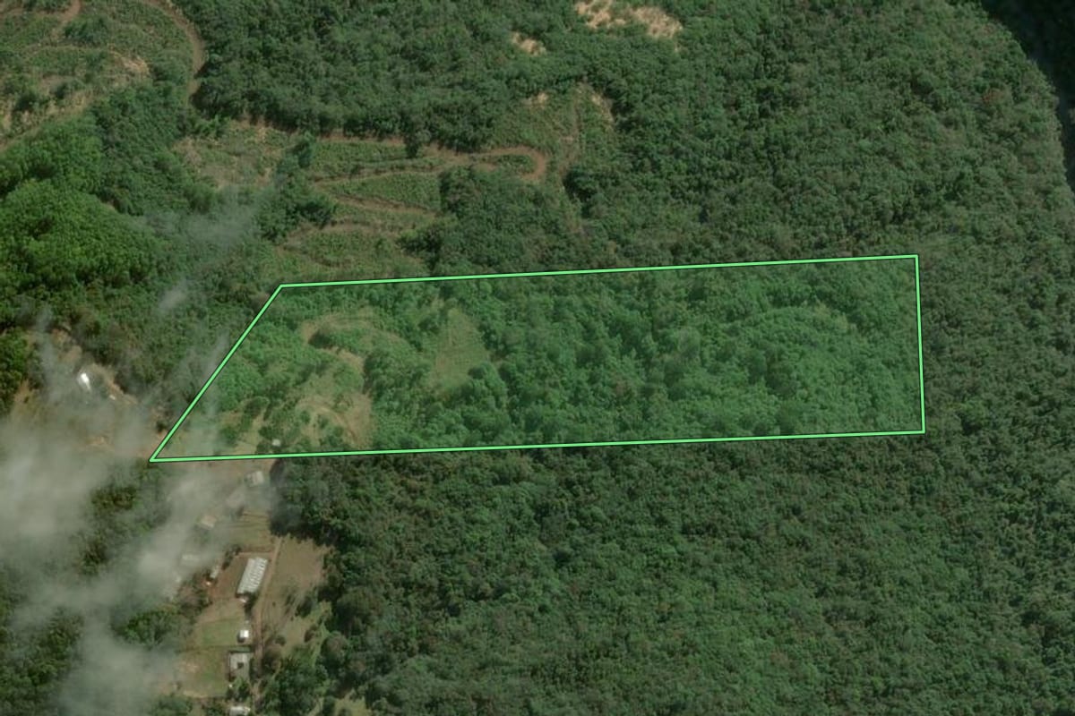 Imagem de satélite do imóvel rural em São Marcos (RS), com o contorno declarado no CAR desenhado por cima.