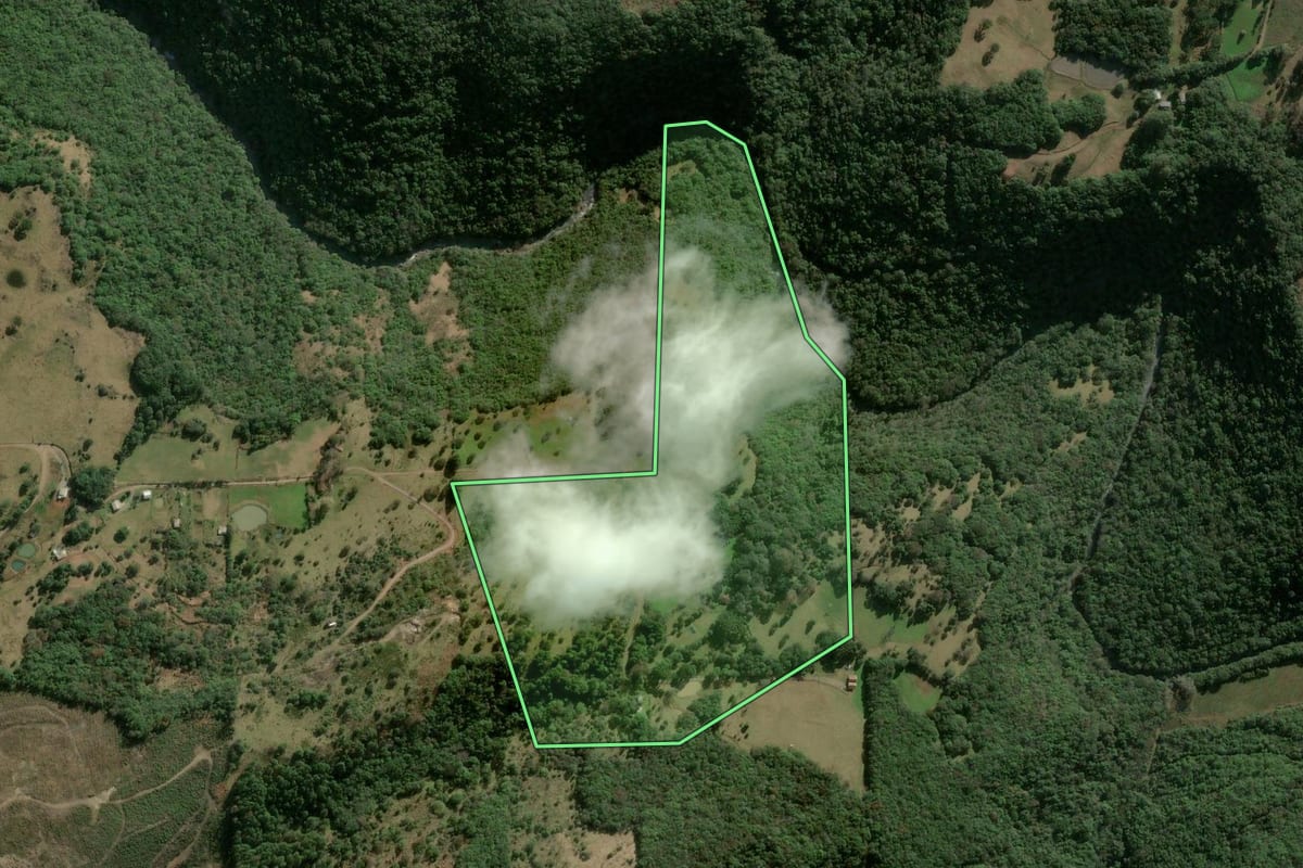 Imagem de satélite do imóvel rural em São Marcos (RS), com o contorno declarado no CAR desenhado por cima.