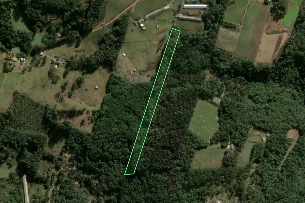 Imagem de satélite do imóvel rural em São Marcos (RS), com o contorno declarado no CAR desenhado por cima.