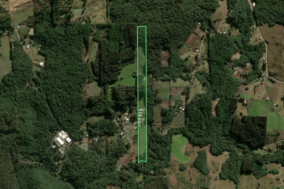 Imagem de satélite do imóvel rural em São Marcos (RS), com o contorno declarado no CAR desenhado por cima.