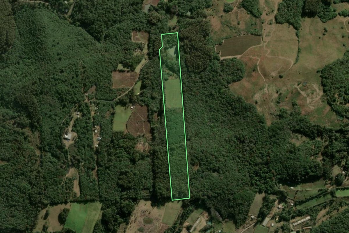 Imagem de satélite do imóvel rural em São Marcos (RS), com o contorno declarado no CAR desenhado por cima.