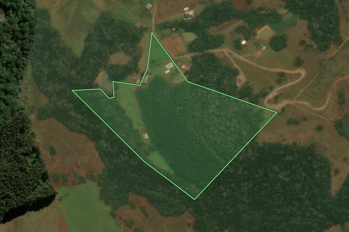 Imagem de satélite do imóvel rural em São Marcos (RS), com o contorno declarado no CAR desenhado por cima.