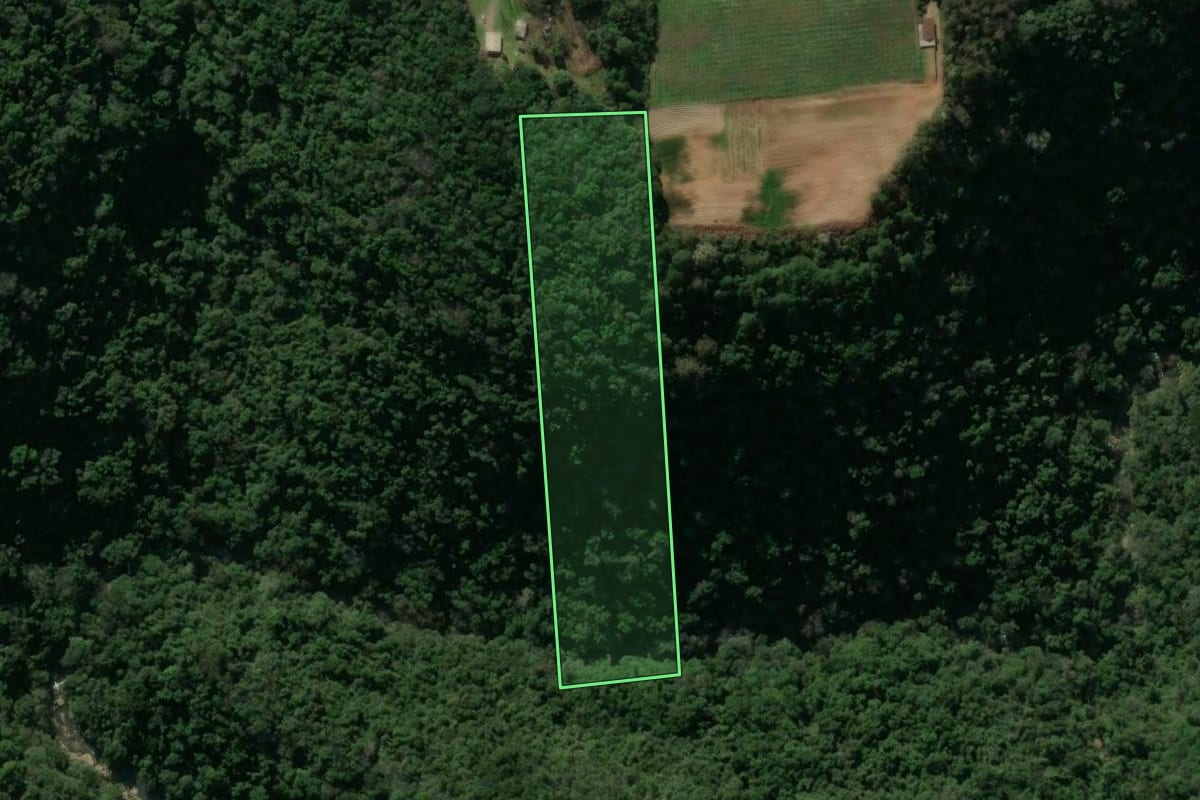 Imagem de satélite do imóvel rural em São Marcos (RS), com o contorno declarado no CAR desenhado por cima.