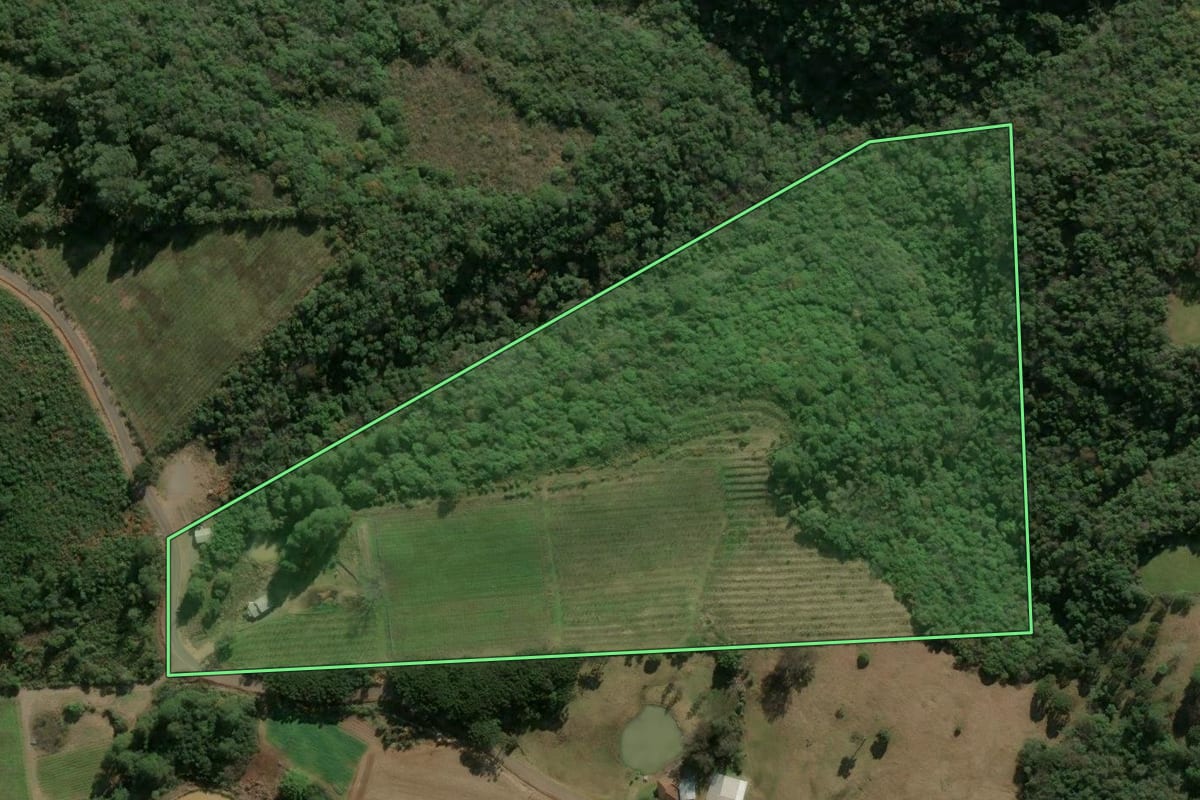 Imagem de satélite do imóvel rural em São Marcos (RS), com o contorno declarado no CAR desenhado por cima.