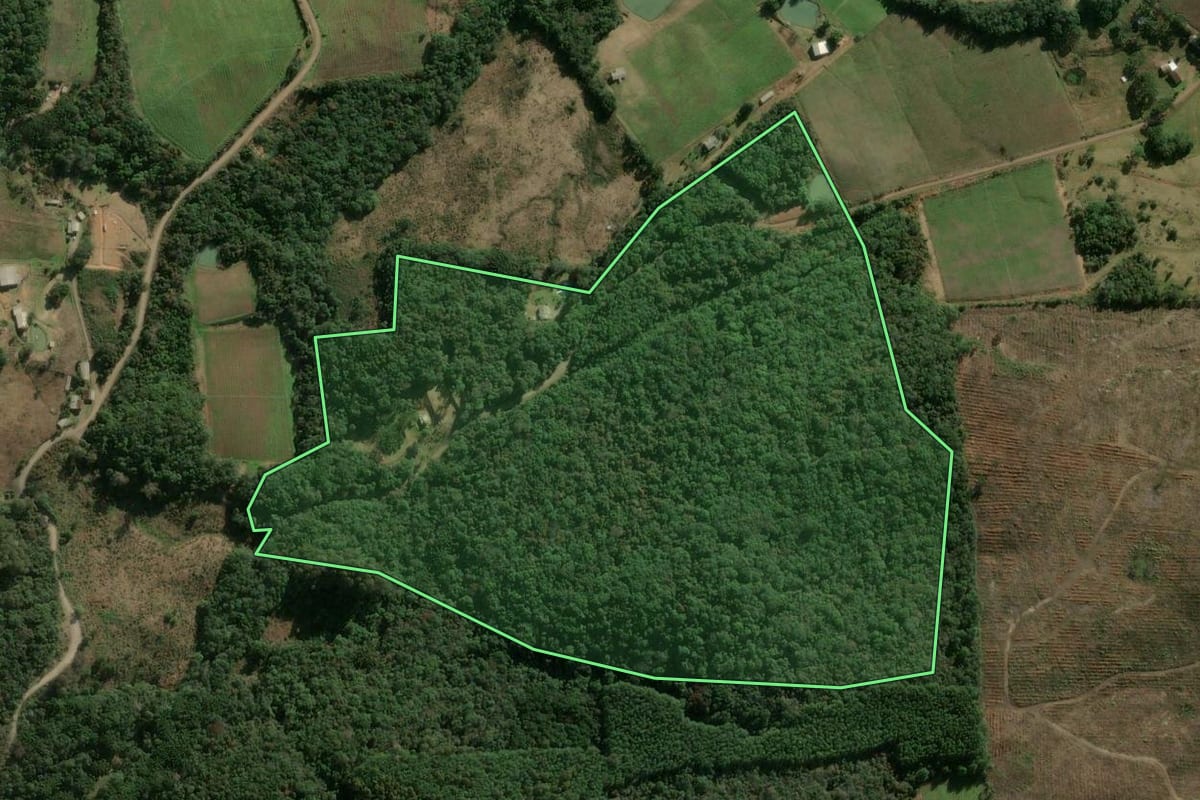 Imagem de satélite do imóvel rural em São Marcos (RS), com o contorno declarado no CAR desenhado por cima.