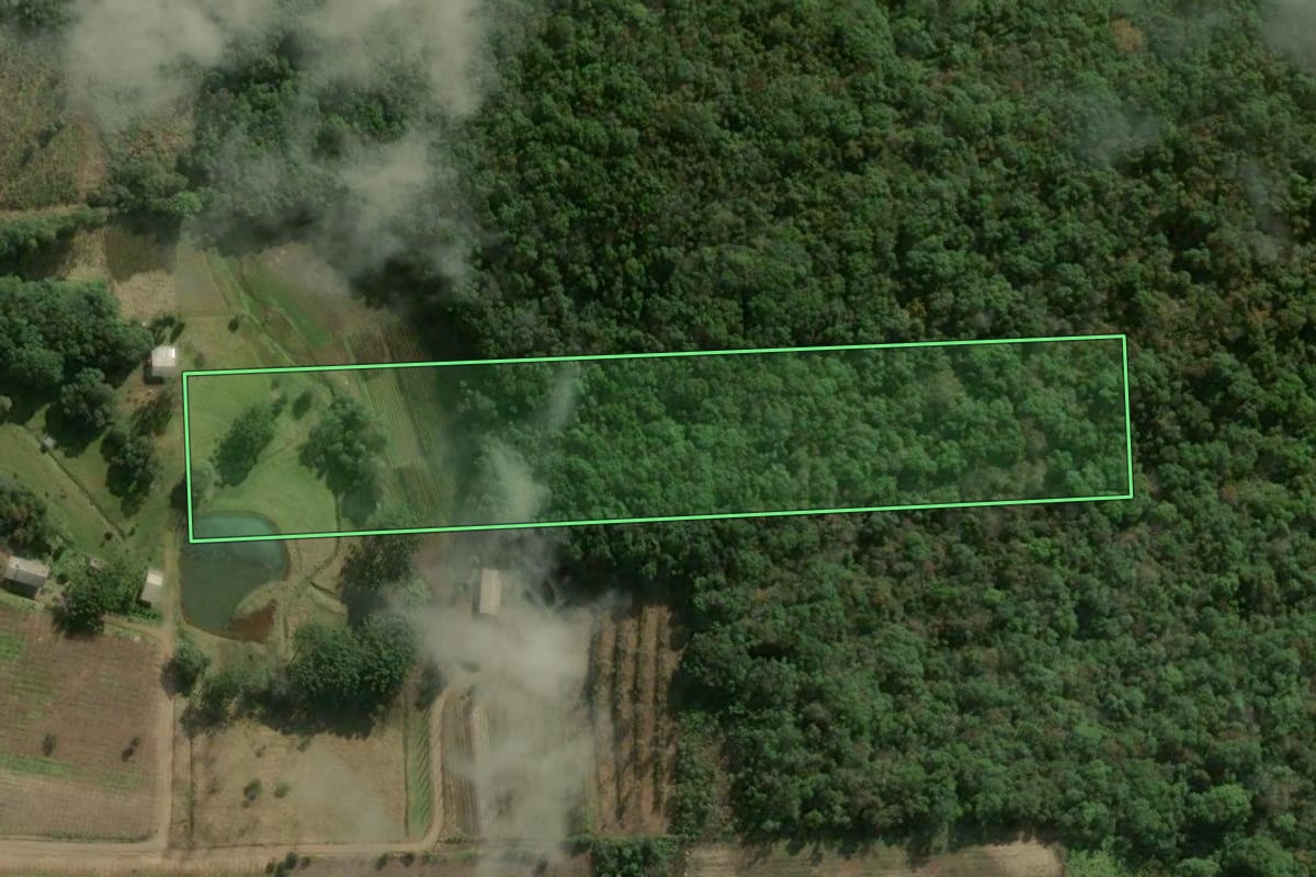 Imagem de satélite do imóvel rural em São Marcos (RS), com o contorno declarado no CAR desenhado por cima.