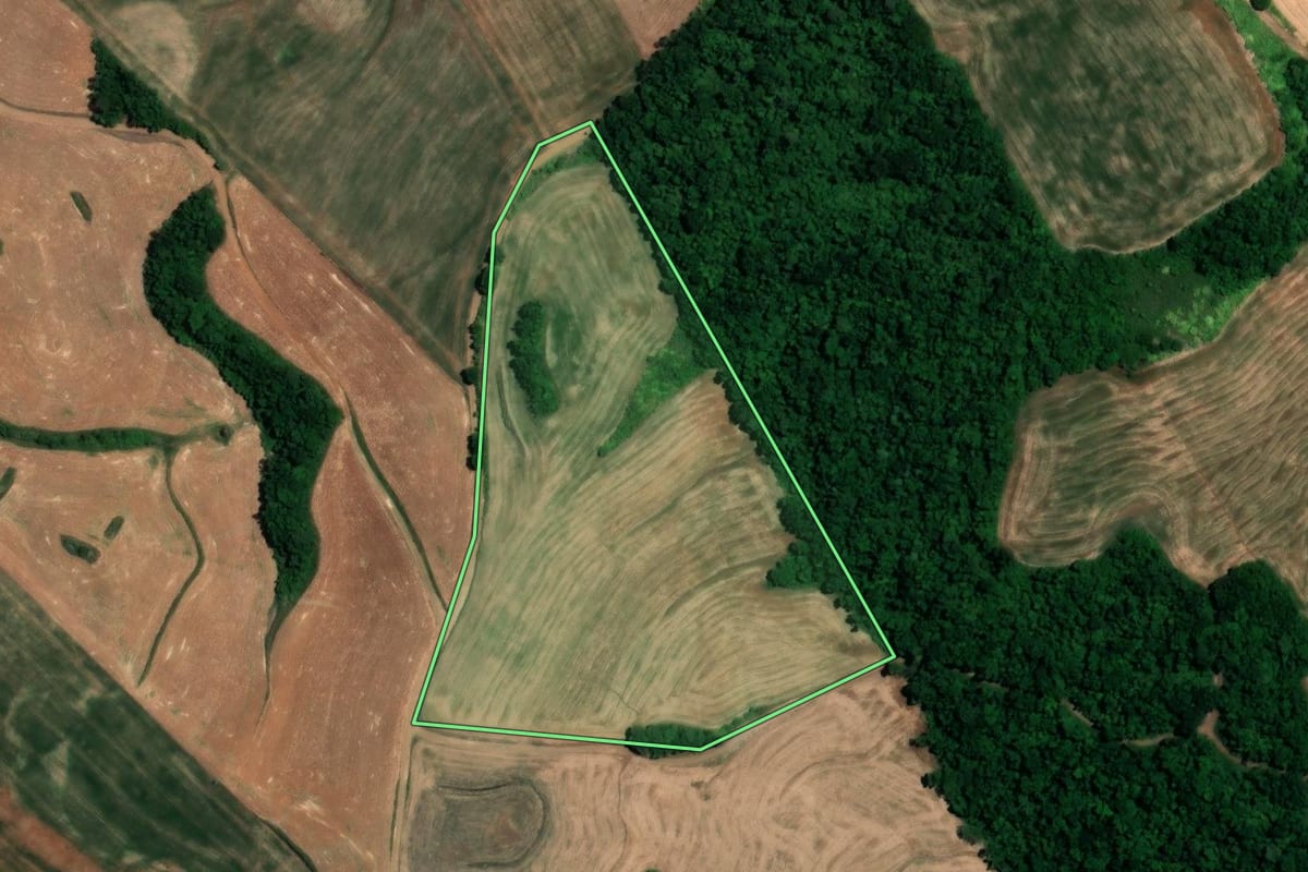Imagem de satélite do imóvel rural em São Martinho (RS), com o contorno declarado no CAR desenhado por cima.