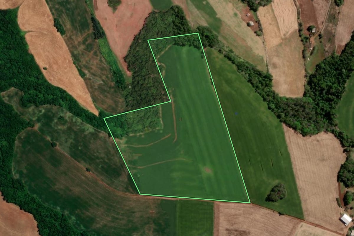 Imagem de satélite do imóvel rural em São Martinho (RS), com o contorno declarado no CAR desenhado por cima.