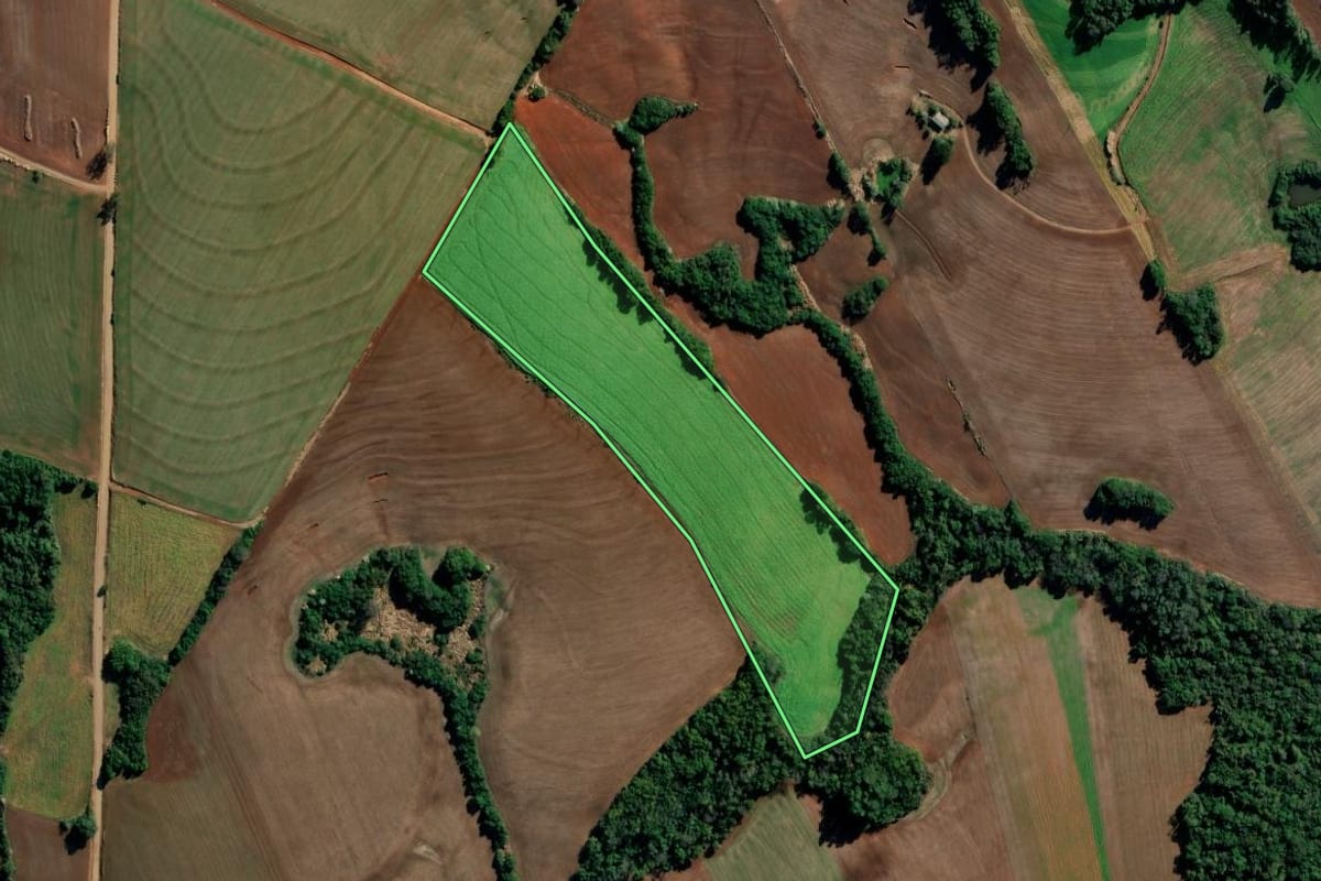 Imagem de satélite do imóvel rural em São Martinho (RS), com o contorno declarado no CAR desenhado por cima.